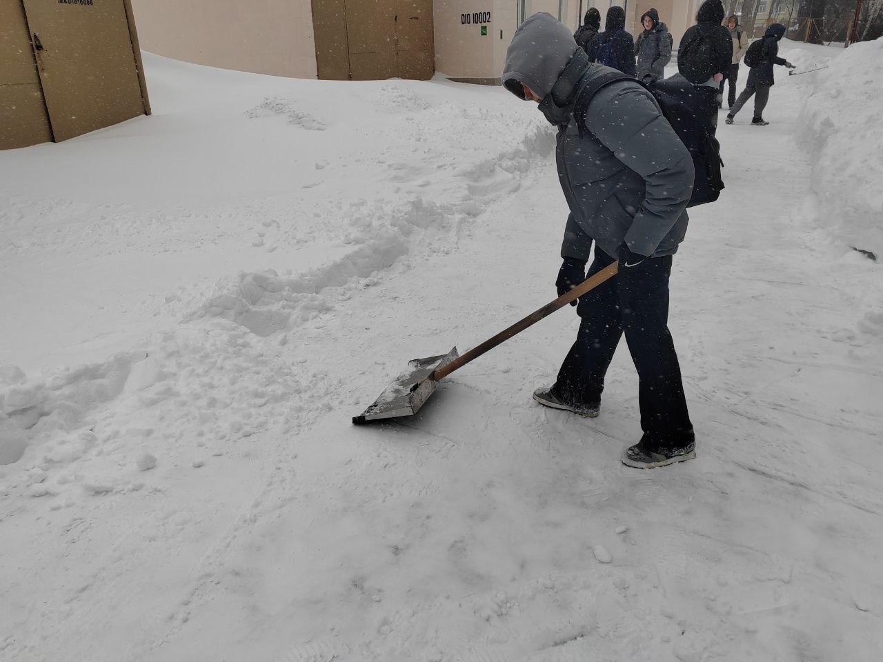 Изображение №6