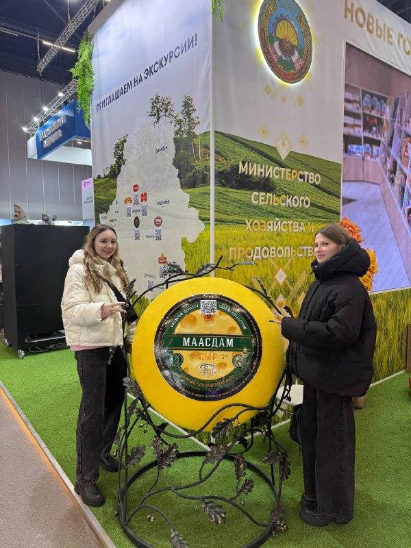 Изображение №6