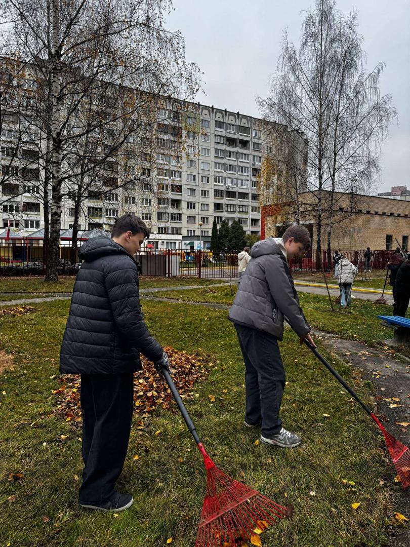 Изображение №5