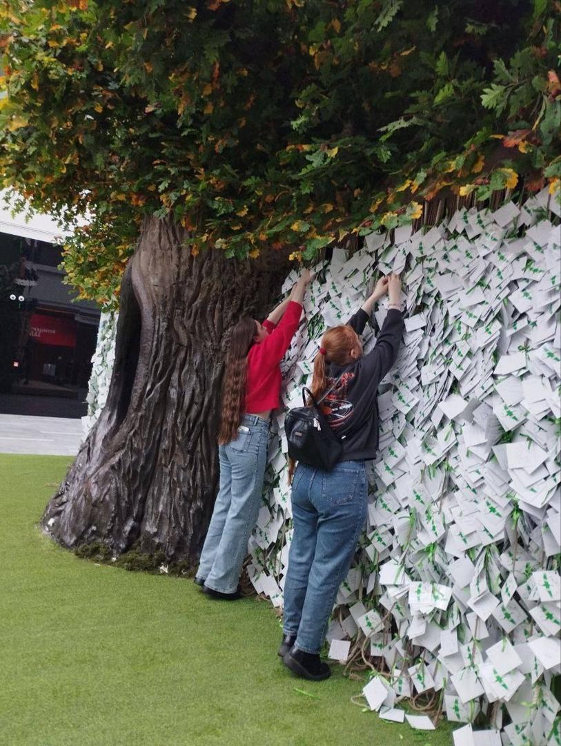 Изображение №6