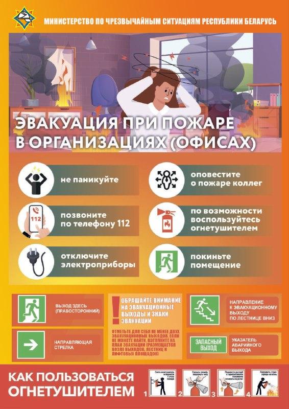 Image N1