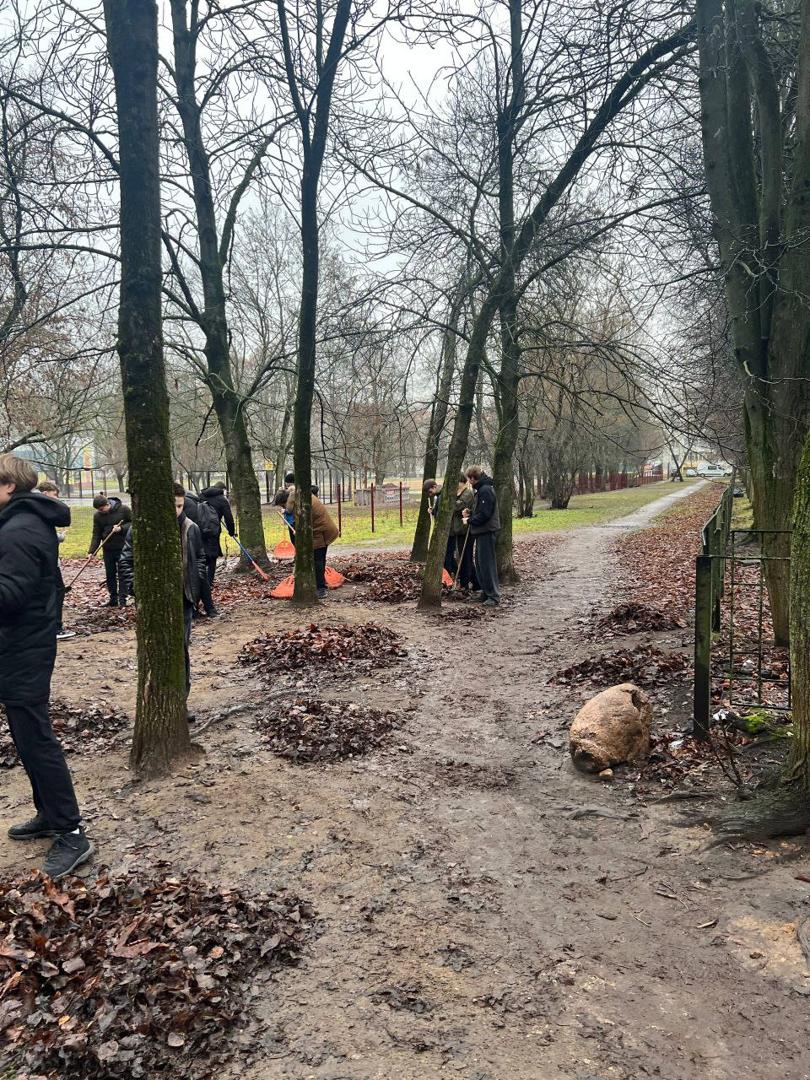 Изображение №4