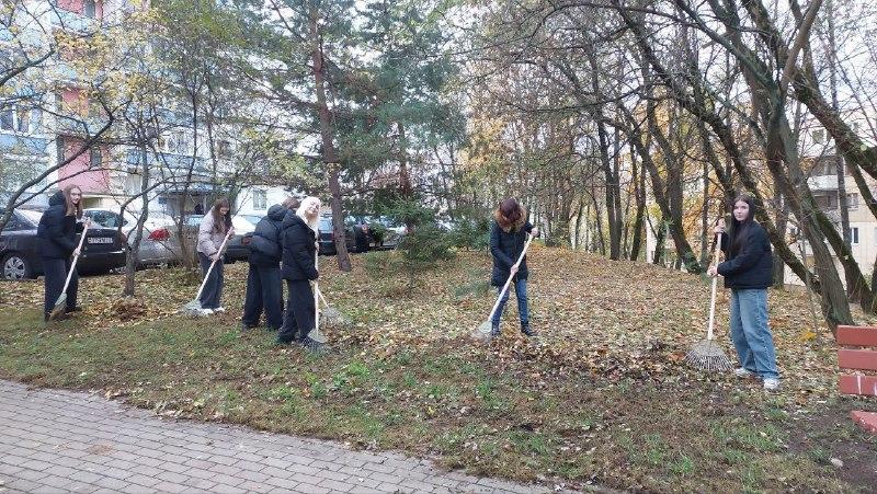 Изображение №5