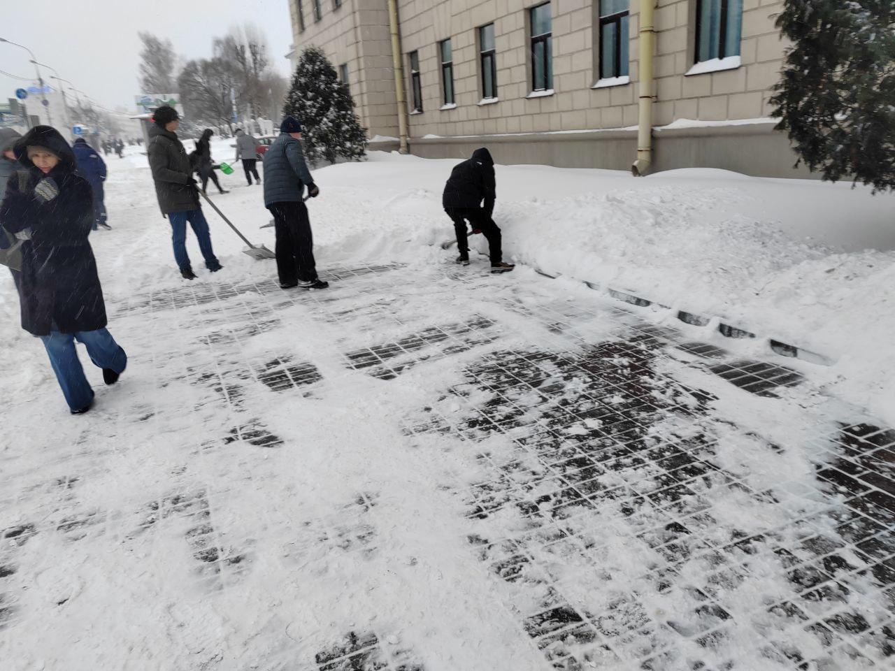 Изображение №5