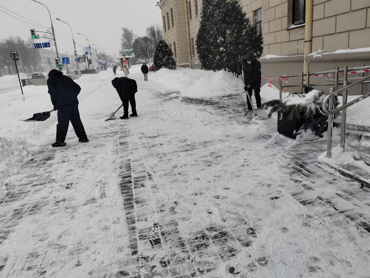 Изображение №3