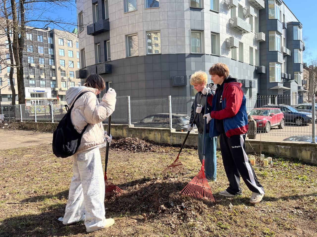 Изображение №5