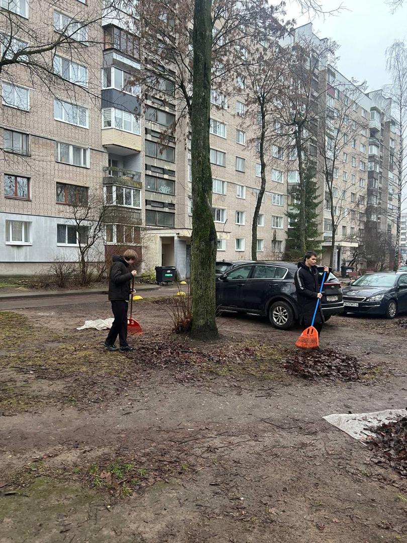 Изображение №6