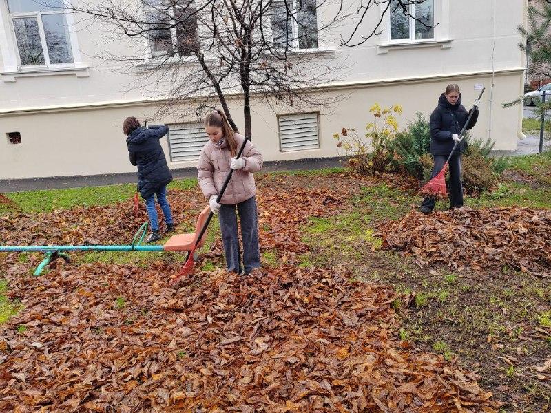 Изображение №6