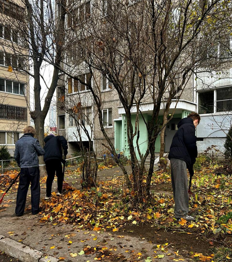 Изображение №4