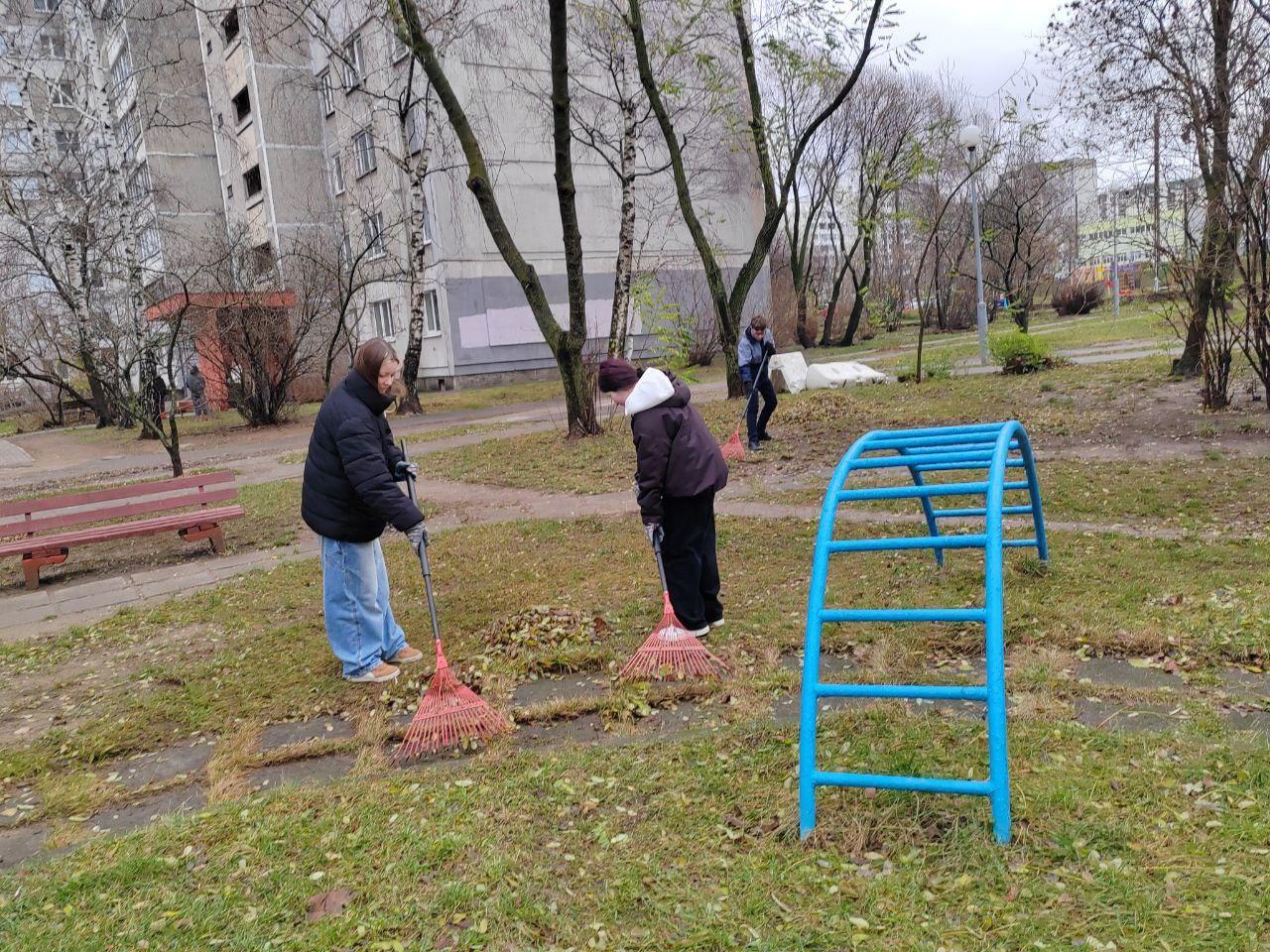 Изображение №2