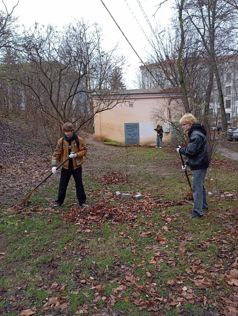 Изображение №5