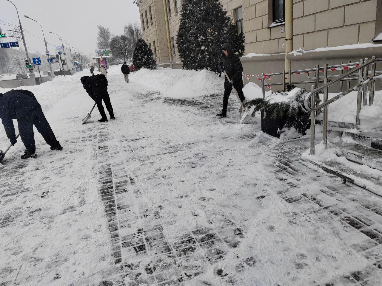 Изображение №5