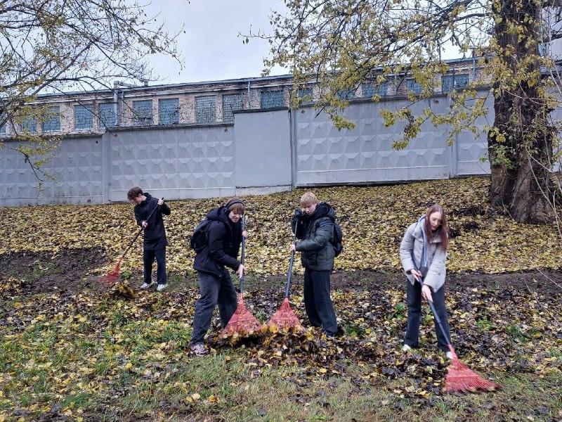 Изображение №5