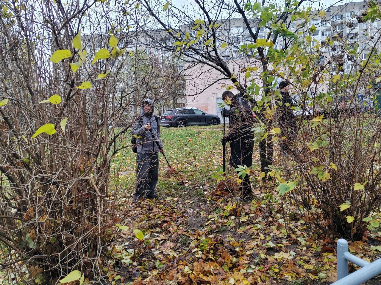 Изображение №6