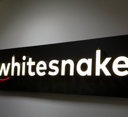 3rd year students of group 3K9393 visited an excursion to the IT company WhiteSnake