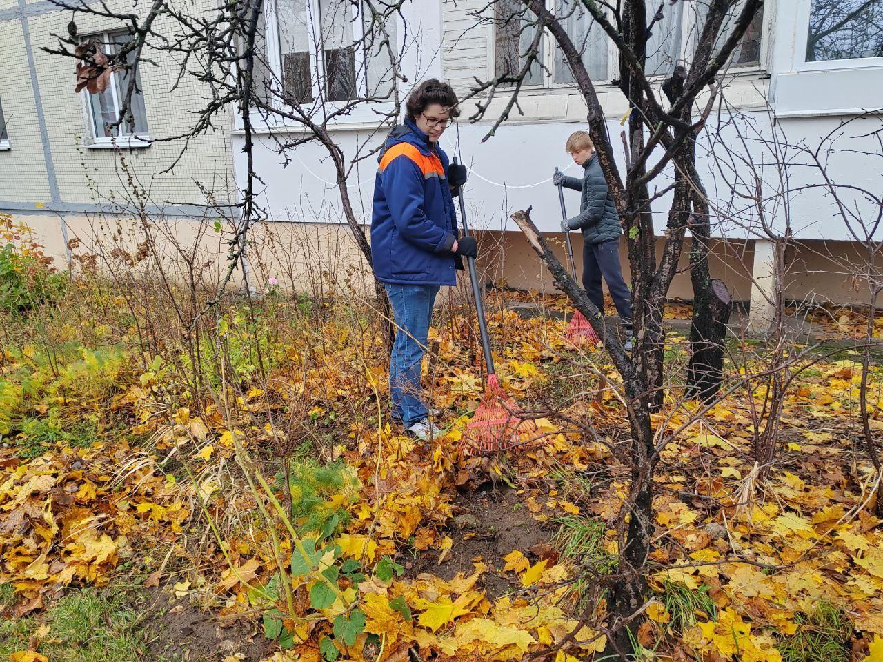 Изображение №4