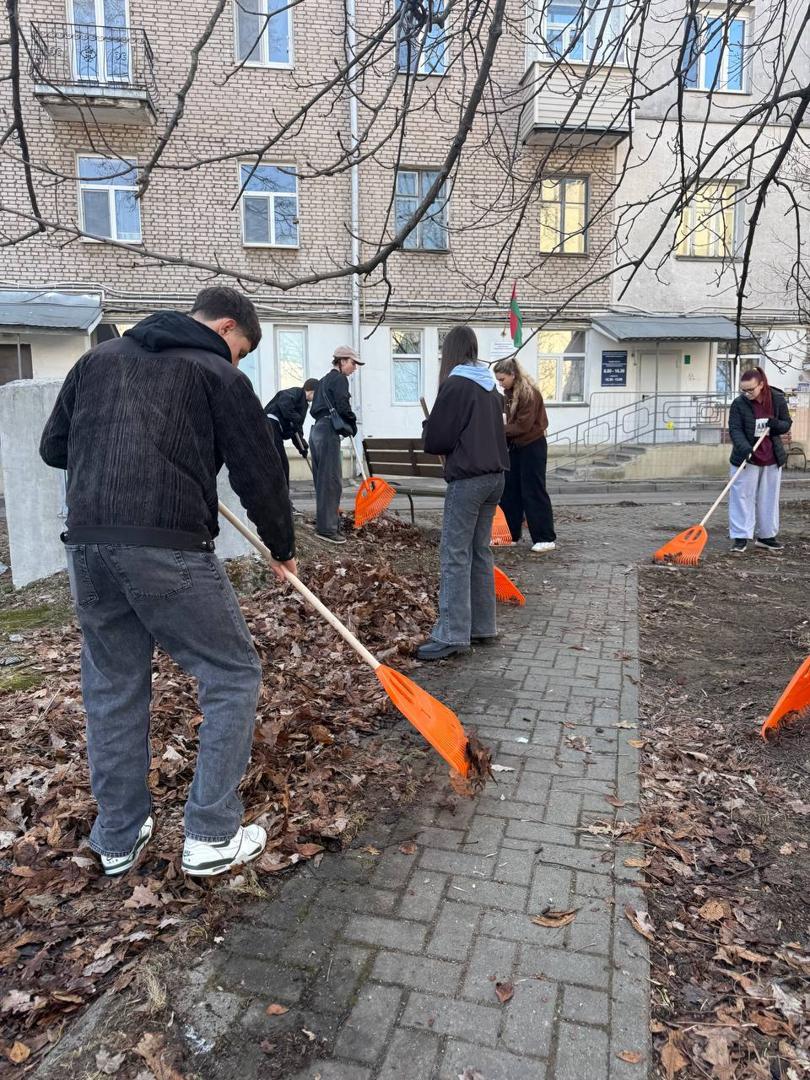 Изображение №4