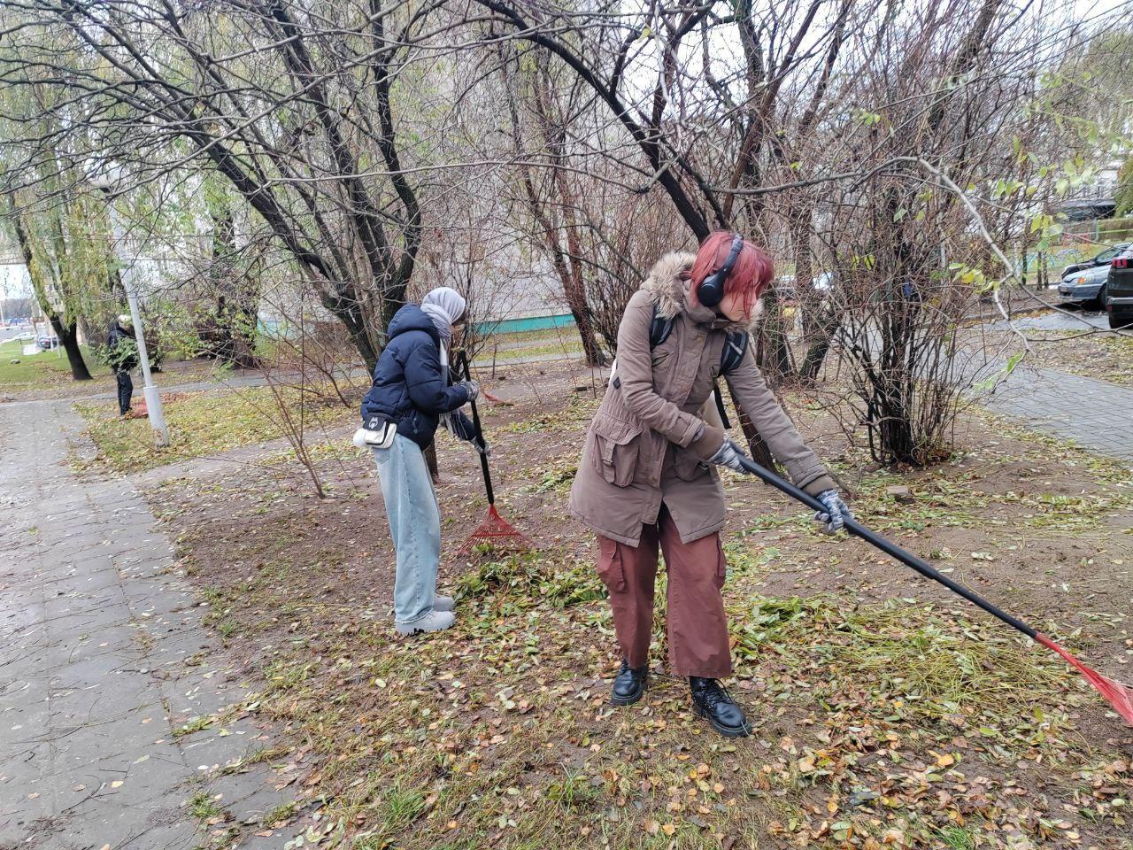 Изображение №5