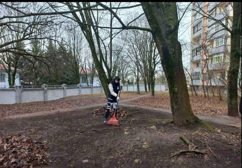 Изображение №3