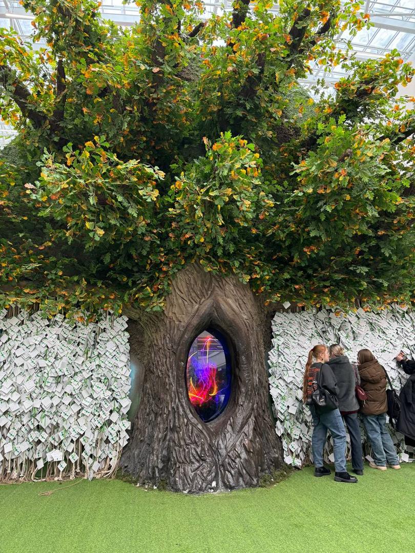 Изображение №4