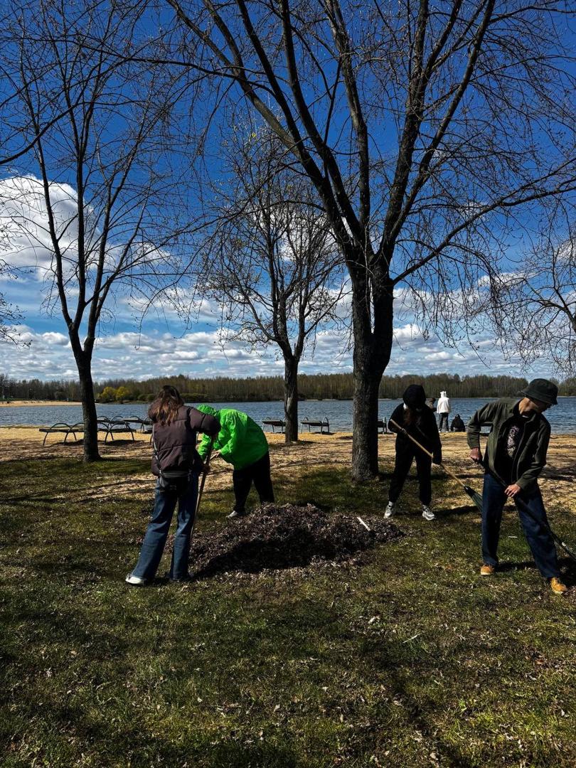 Изображение №4