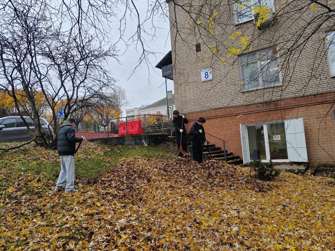 Изображение №5