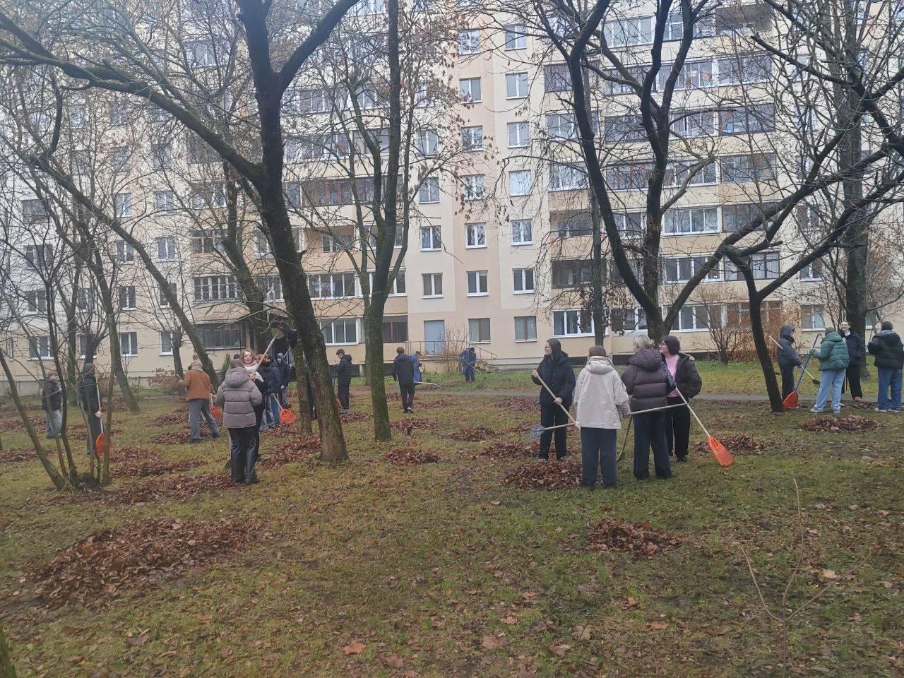 Изображение №5