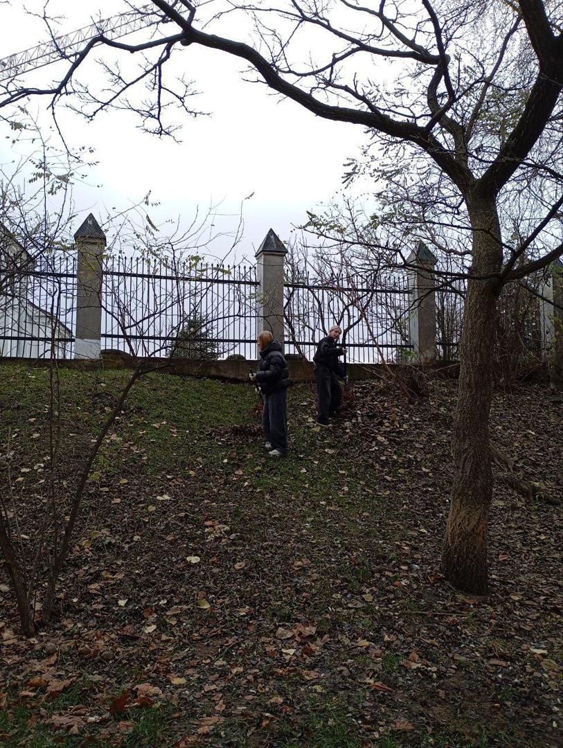 Изображение №7