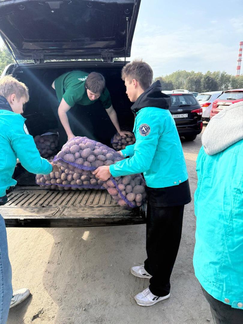 Изображение №4