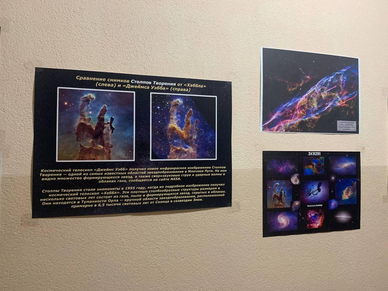 2nd and 3rd year students of our college prepared an exhibition of posters