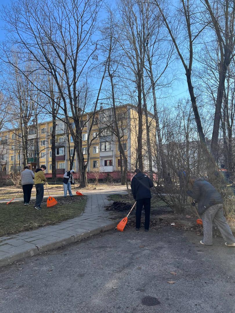 Изображение №3