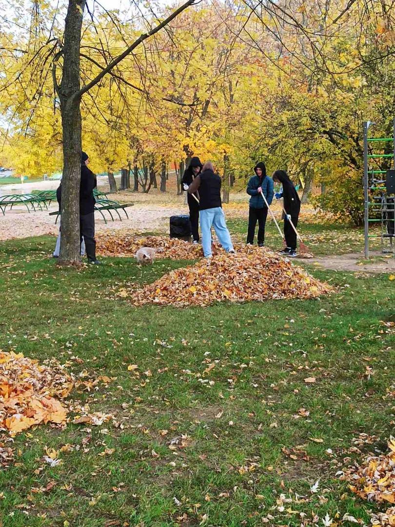 Autumn Cleanliness Marathon