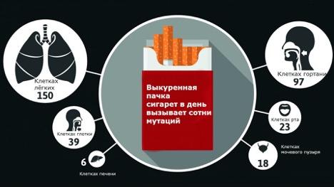 Изображение №1